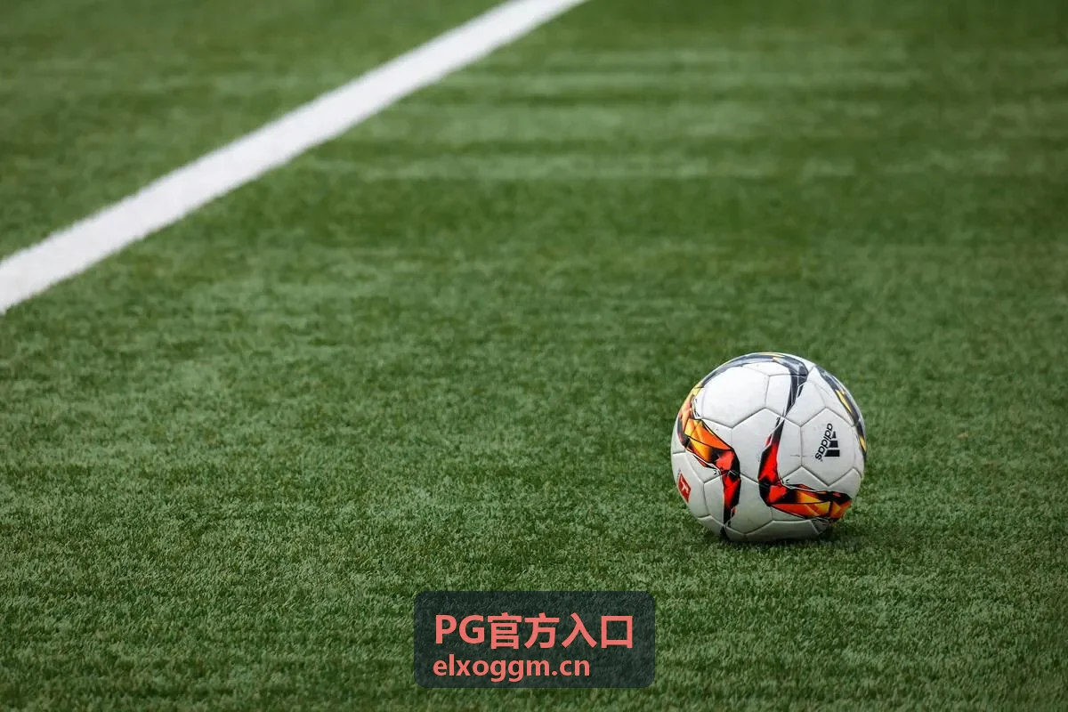 PG官方入口多角色协同情形缩略图